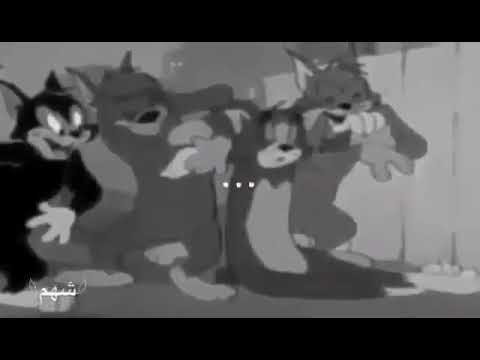 علي دنياي دارت كس اخته 