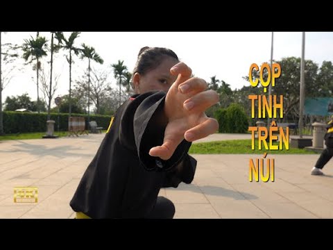 Video TUYỆT CHIÊU LÃO HỔ THƯỢNG SƠN: MÃNH HỔ DẠY CON NGƯỜI... - youtube