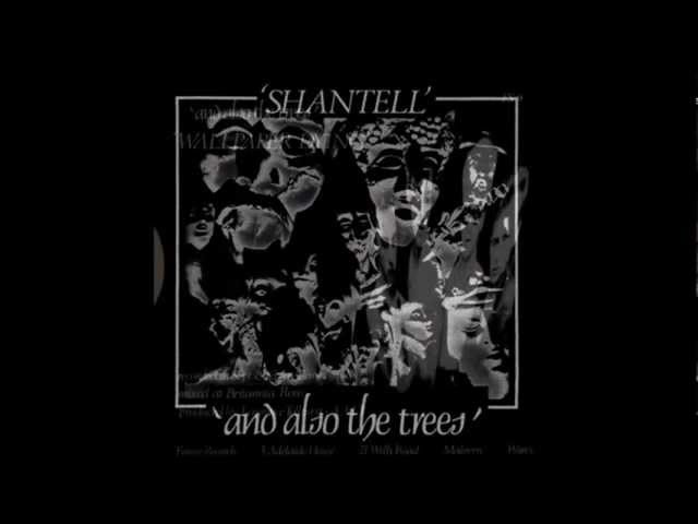 AND ALSO THE TREES - Shantell - YouTube