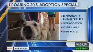 Jacksonville animal shelter hosting 'Roaring '20s' adoption event