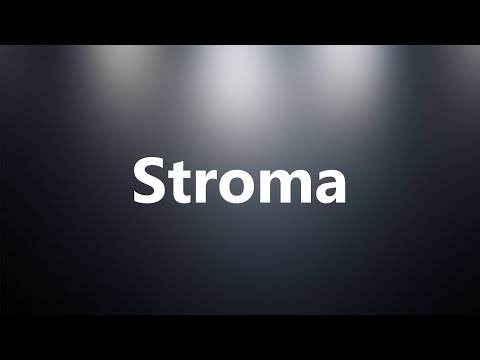 Stroma - Medical Meaning and Pronunciation