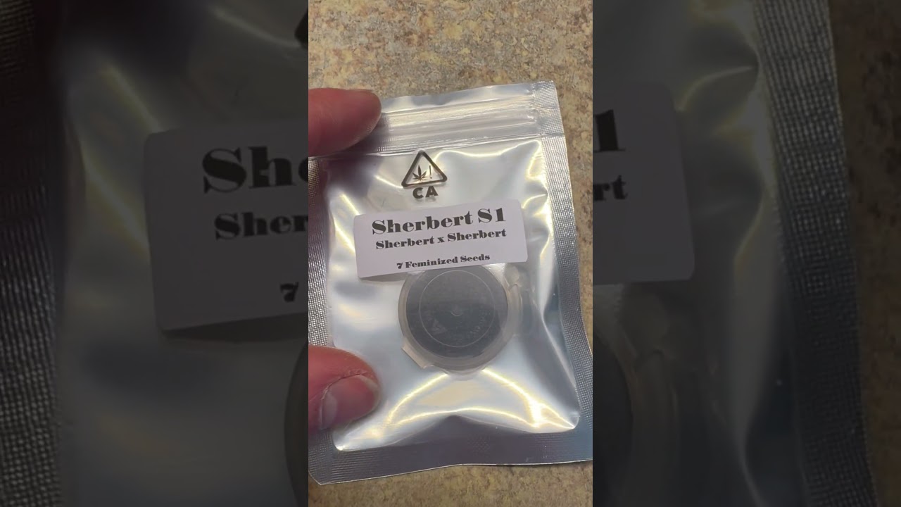 Germinating this years greenhouse crop. 