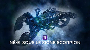 Quel est le signe opposé du Scorpion