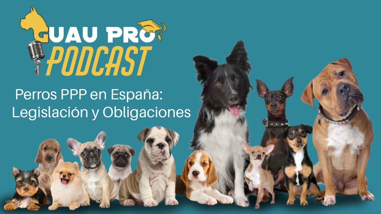 Perros Potencialmente Peligrosos en España: Un Análisis Detallado de la Legislación y Obligaciones