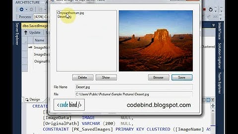 C# NET Save and Retrieve Image From Database