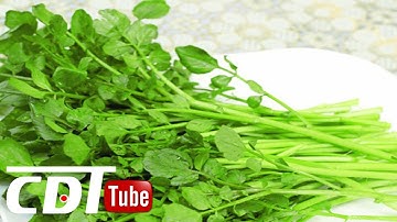 5 tác dụng chữa bệnh tuyệt vời từ cải xoong | CDT NEWS