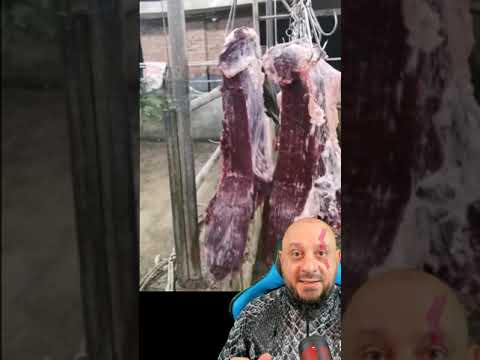 Carne se mexendo sozinha, exorcismo? Biólogo Henrique explica