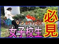 【矛楯】ロケット花火vsビニール傘【全国の女子校生必見】