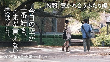 【特報🎥惹かれ合うふたり編】映画『今日の空が一番好き、とまだ言えない僕は』2025年4月25日全国公開