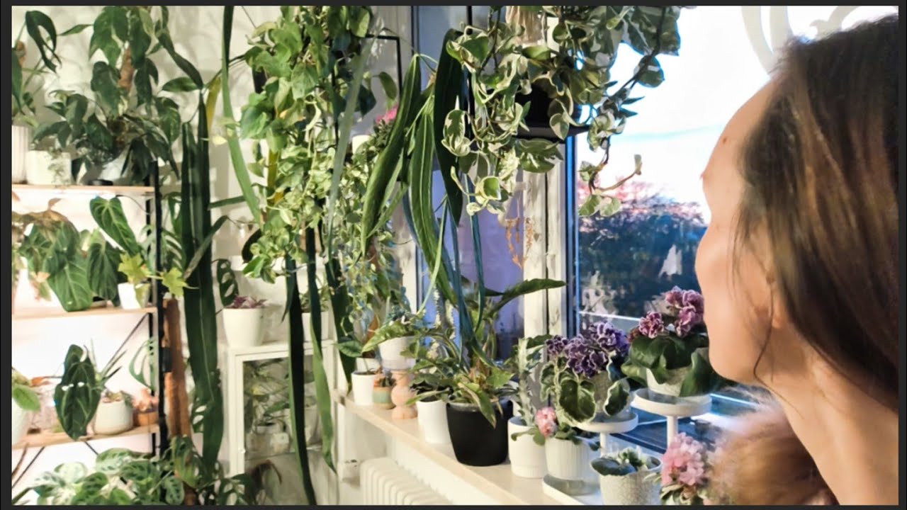 🍂JESIEŃ SŁUŻY ROŚLINOM🍂  SZOK