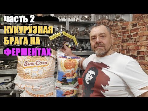 видео: Зерновая брага ТРИ способа сбраживания. часть 2 ФЕРМЕНТЫ (уровень сложности БАЛБЕС)