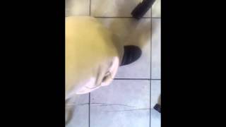 WP 20140519 006