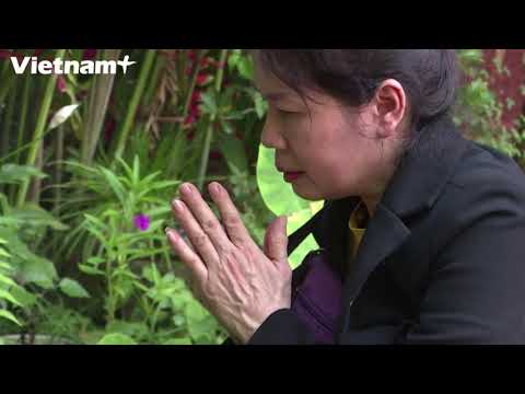 Video Nghĩa Trang Cho Thú Cưng, Một Hiện Tượng Mới Lạ Ở Việt... - youtube