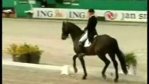 Dressage-B Wittig & Charatan CDI Rotterdam07 GP