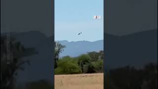 💥 Una avioneta narco cayó en un campo de Salta con más de 130 kilos de cocaína