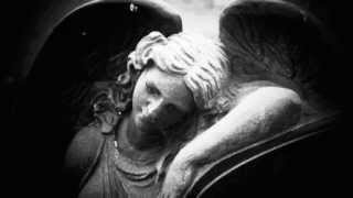 Tempestuous Fall - The Stars Would Not Awake You