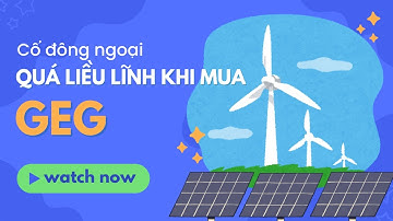 Cổ đông ngoại quá liều lĩnh khi mua trái phiếu GEG năm 2023 !! | Cổ phiếu GEG