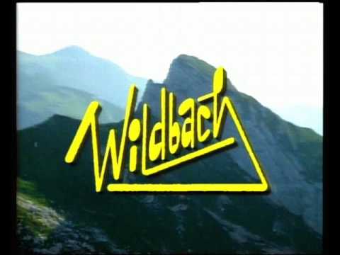 Wildbach Themesong ( Stan Bush - Free and Easy )