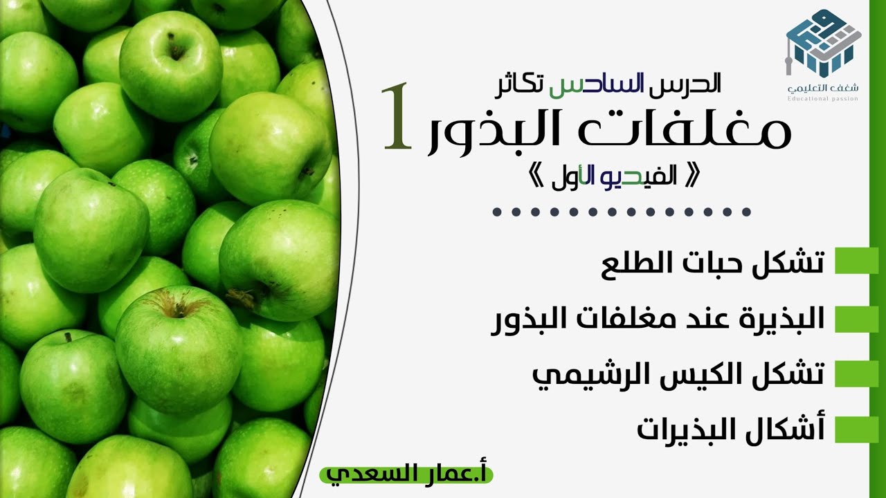 مغلفات البذور 1 | علم الأحياء | بكالوريا | أ. عمار السعدي