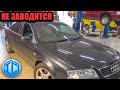 Audi A6 не заводится