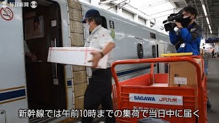 九州新幹線で宅配サービス開始　朝の集荷で当日配送可能に