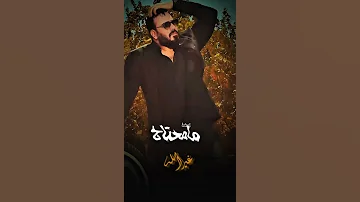 الباشا نور الزين الماله داعي حصريا 