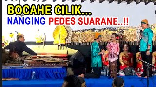 Peye full lucu - Percil seneng karo suarane Sinden cilik sing merdu - Jan tambah syahdu di rungokne