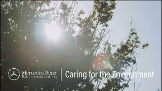 Caring for the Environment: Mercedes-Benz