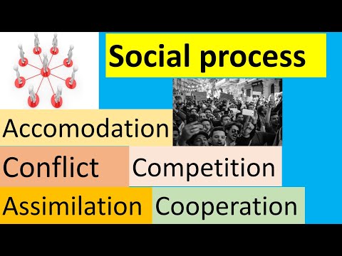 Video: Assimilation is Concept, meaning, types, forms and results