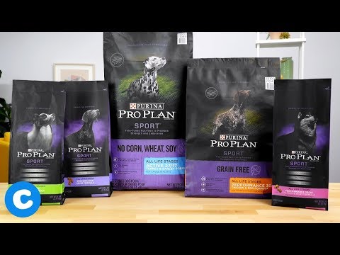 Video: Vitaminas para Show & Sport Dogs