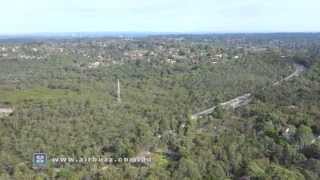 Airbuzz Productions | Aerial Drone Video of Australian Kookaburras