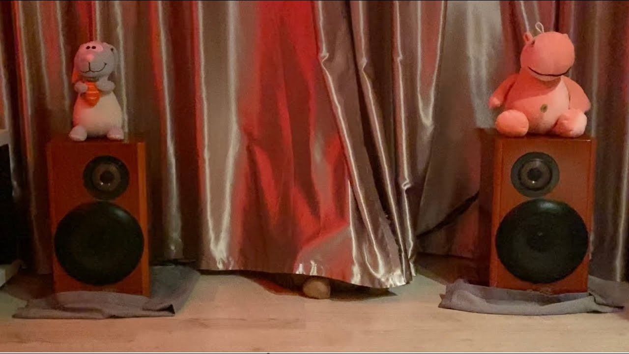Система Дениса для спальни Victor sx 500 dolce eterno Audio