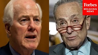 'Hardly The Recipe For Productive Bipartisan Negotiations': Cornyn Slams Schumer Over Energy Remarks