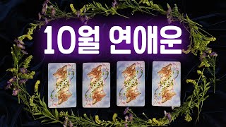 [타로카드] 10월 연애운 (솔로, 커플)