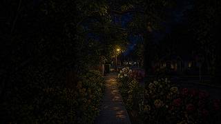 the path home | pixel night ambience