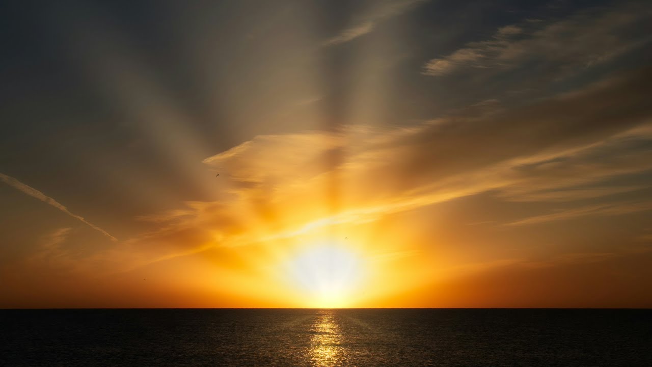 د.سمية الناصر ~ كيف ضاعت قداستك؟