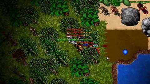 Tibia Ot Immortals Pk