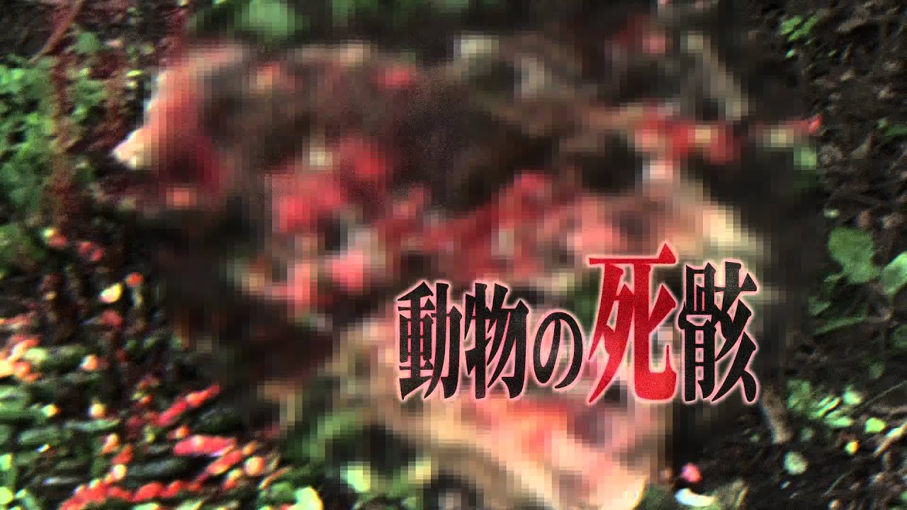 戦慄怪奇ファイル コワすぎ！ FILE-03人喰い河童伝説 - YouTube