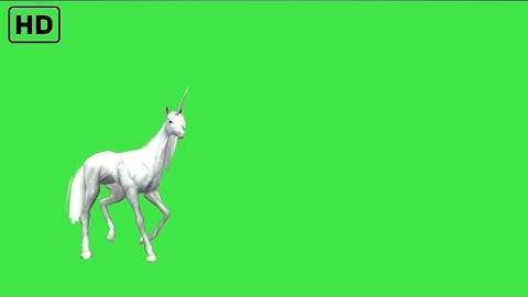 Unicorn 🦄 green screen video | green screen horse | horse green screen | Copyright free #horse