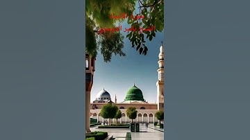 سورة الأنبياء الشيخ ياسر الدوسري #explore #اكسبلور #surhmulk #لايك #surahalmulktilawat #تيك_ت #ترند