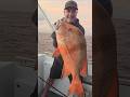 Surprise catch.  Great fishing on Rainbow Escape Charters