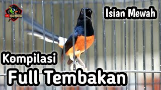 MASTERAN MURAI BATU FULL ISIAN TEMBAKAN MATERI LOMBA KESUKAAN JURI