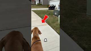 He Thought They Were Real