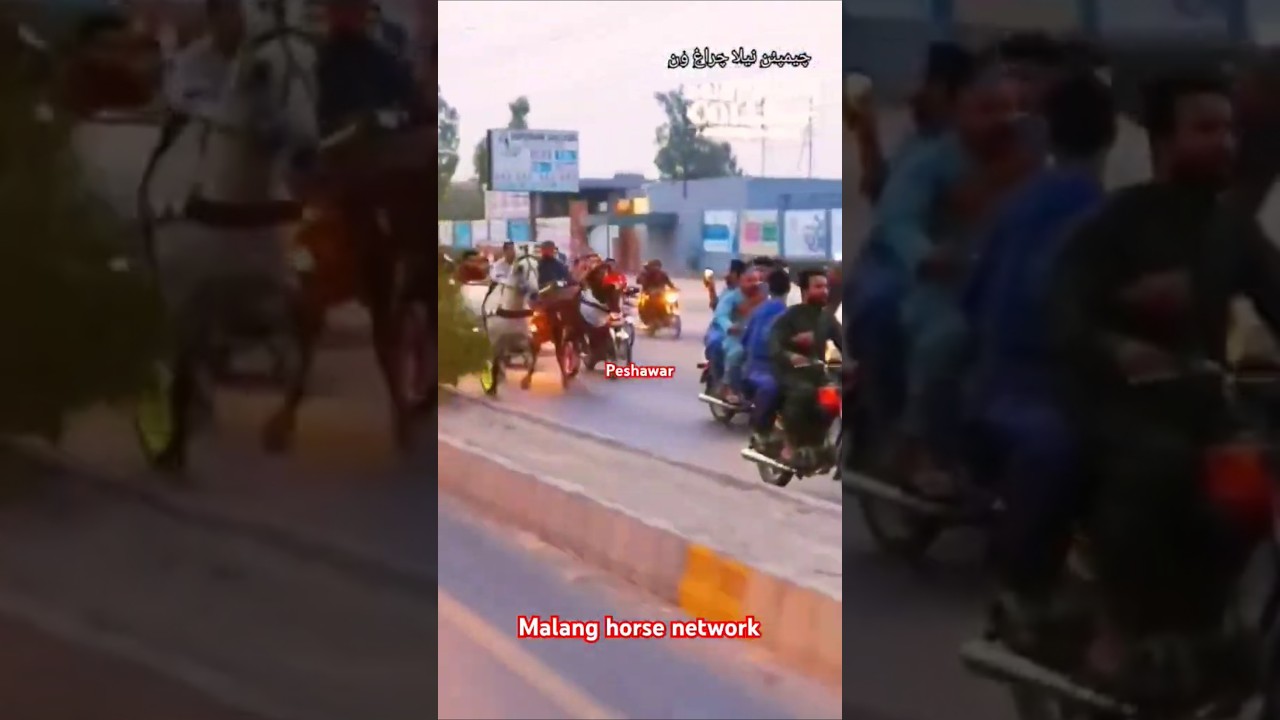 Peshawar horse race💕💞Pakistan tanga race🐎