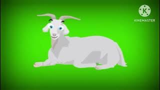 Pulcino Pio El Pollito Pio | Baby Shark