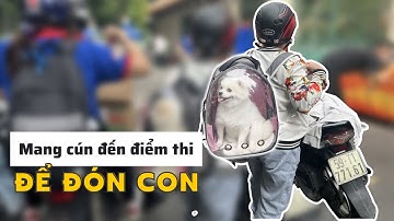 Thi tốt nghiệp THPT nhìn lại muôn kiểu tiếp sức mùa thi đặc biệt của phụ huynh