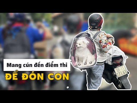 Video Thi tốt nghiệp THPT nhìn lại muôn kiểu tiếp sức mùa... - youtube