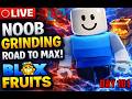 🔴 LIVE [Day 101] Blox Fruits Noob Grinding - Road to Max🔥 + Chill Music 🎧