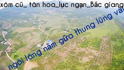 góc nhìn flycam quê tôi tân hoa lục ngạn bắc giang ngôi làng nằm giữa thung lũng vải thiều