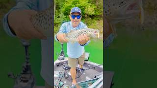 𝐈𝐦𝐚 𝐒𝐮𝐤𝐚𝐫𝐢 𝟓𝟎𝐒𝐒 𝐃𝐞𝐞𝐩 👉 www.HardShop.ro  #fishinglife #fishingvideo #HardShop